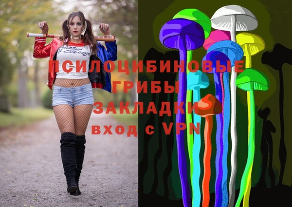 МДПВ Абинск
