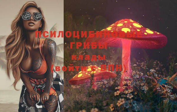МДПВ Абинск
