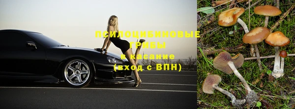 МДПВ Абинск