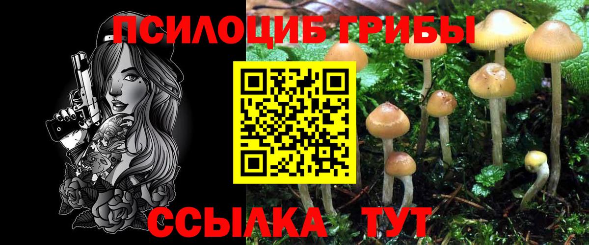 Хабаровск  Псилоцибиновые грибы GOLDEN TEACHER  Вход с VPN 